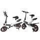 Lightweight Full Size Smart Folding Electric Bike Adjustable Seat Height