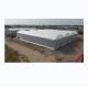 8m Span Width Multi Span Agricultural Commercial Tomato Greenhouse with Cooling System