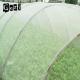 White Polyethylene Insect Mesh Netting For Agricultural Pest Control Of Field