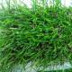 Environmental Plastic Synthetic Grass Rug Garden Decoration Long Life Span