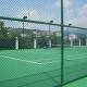 12 gauge Decorative Plastic powder  Coated Chain Link Fence With Post
