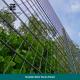 200x50mm Hole Galvanized Welded Wire Panels , 2D Galvanized Wire Fence Panels