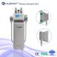 Fat freezing beauty spa use cryolipolysis machine / cryolipolysis slimming machine