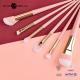 Cheek Luxury Makeup Brushes with Plastic Handle and EMS Shipping Ways