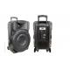 60W RMS Powerful Portable Speakers Active USB Trolley Column Speakers