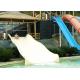 Fiberglass Kids' Water Slides, Outdoor Pool Water Slide For Children With a Safety  Height