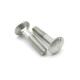 DIN603 A2-70 Stainless Steel Screw Square Neck Carriage Bolts