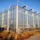 Agricultural Super Strong Resistance  Vegetable Fruits Flowers Polycarbonate Sheet Greenhouses