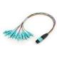 12 Fibers MPO to LC 12F MPO(male) -LC Fan-out 0.9mm 30-35cm Patch cable