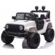 12 Volt Two Seater UTV Ride On Monster Truck Battery Powered Adventure for Children