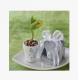 New creative promotion gift product wedding gift plant bean