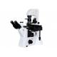 Trinocular DIC Science Lab Microscope Quality WF10X/22mm 5W LED