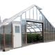 Single Span Greenhouse Mushroom Growing Equipment Covered with Transparent Plastic Film