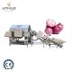 2000kg/h High Pressure Air Onion Peeler Processing Line for Large Scale Production