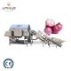 3000 kg/h Onion Skin Peeler for Root Vegetables and Stainless Steel 304 in Industrial