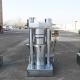 6YY-250 Olive Hydraulic Oil Press Machine Hydraulic Cold Press