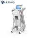 Fractional RF Skin Tightening Machine / Equipment With CE For Striae Gravidarum removal for Acne treatment anti aging