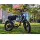 EB2 20 X 4.0 Fat Tire Electric Bike With 200KGS Max Loading