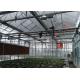 Plastic / Poly Agricultural Greenhouse , Vegetable Tunnel Multi Span Greenhouse