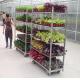 Wire Mesh Shelf Dutch Flower Trolley Seedling Car Hot Galvanizing