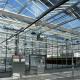 Hot-DIP Galvanized Steel Pipe Structure Material Tempered Glass Greenhouse for Cucumber