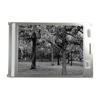 LM64P728 9.4 inch FSTN 640*480 LCD Display Panel LCD Screen