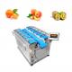 40BPM 10 Head 14 Head Fruit Multihead Weigher Tangerine Orange Belt Conveyer Weighing