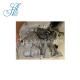 FENGGUANG 580 SUV 1.8L MT Transmission Gearbox Assembly for Closed Off-Road Vehicles