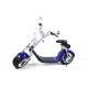 2 Wheel Electric Scooter For Adults , 1000 watt Fat Tires Citycoco Electric Scooter