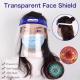 Protection Anti-Fog Transparent PET prevention clear full face plastic Facial protection