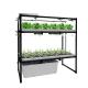 600*1200mm Vertical Hydroponic Growing Systems For Salad Greens