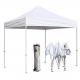 Printed Gazebo Marquee Tent White Color Strong Framework With Sunshade Cover