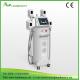 New product distributor wanted price cryo fat slimming machine