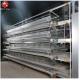 Animal Husbandry Coop Battery Chicken Cage H Type 6 Layers