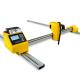 Double Axis Linear Guide Mobile Plasma Cutting Machine  High Performance