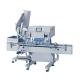 Perfume Lip Gloss Tube Bottle Screw Capping Machine