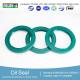 FKM Oil Seals for Lubrication and Sealing System