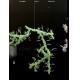 Unique Green Crystal Flower Chandeliers Light For Fantastic Place