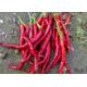 Anhydrous Xian Chilli Edible Dehydrating Cayenne Peppers Stemmed