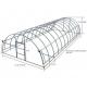 PE Plastic Film Poly Tunnel Greenhouse Single Span For Tomato Vegetable Flower