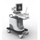 Full Digital Trolley 4D Echo Ultrasound Machine For Gynecology