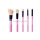 Fasionable 5pcs Makeup Brush Gift Set With Pink Handle And Black Ferrule