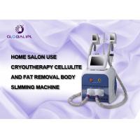 2 Head Cold Therapy Ultrasonic Cavitation Body Slimming Machine Fat Freeze Machine