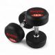 Cross Fit Training Fitness Equipment Dumbbells Solid Rubber Material
