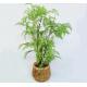 Lifelike Green Artificial Tropical Plant For Office Table Decor Boston Fern