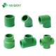 PP-R Pipe Fitting for Plastic Fitting Reducing Water Connector PPR Pipe