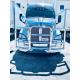 304 Premium Quality Truck Deer Guard 12 Months Warranty For  Freightliner