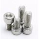 Stainless Steel Hex Socket Screws DIN912 SS316 Hex Socket Head Bolt