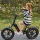 50km/H Aluminum Folding Electric Bike Lithium Battery With LED Display