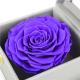 Dark Purple 7-8CM Preserved Rose Gift Box With No Harmful Substances